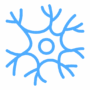 neuron